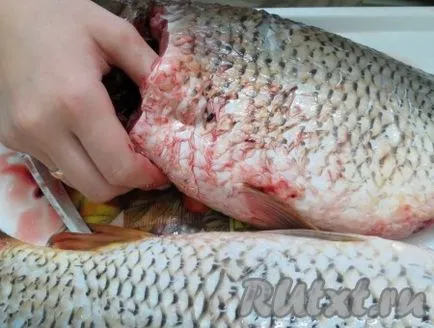 Főzni töltött ponty - recept fotókkal (kitömött) Főzni töltött ponty - a recept egy fotó