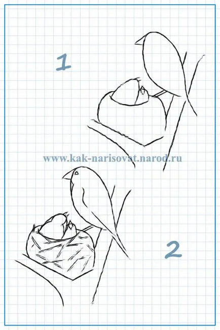 Hogyan rajzoljunk egy kakukk