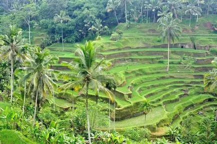 Függetlenül megy Bali öt lépésben egy álom (egy független szervezet az utazás) Függetlenül megy Bali öt lépésben egy álom