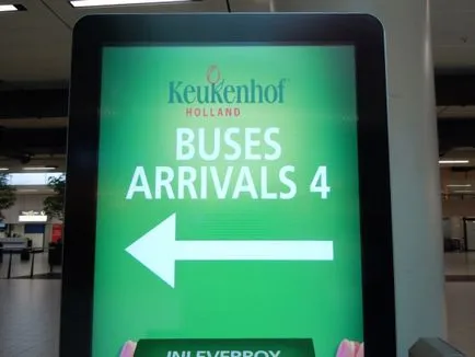 Mint önálló meghajtót a Keukenhof virág amszterdami parkban, amsterdam10 - Tippek a turisták a (közlekedési) Mint önálló hajtás a park a virágok Keukenhof amszterdami amsterdam10 - Tippek a turisták