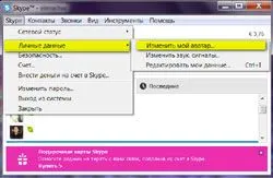 Hogyan készítsünk fotót a Skype-on (screenshot), hogy a kép a beszélgetőpartner beszélgetés