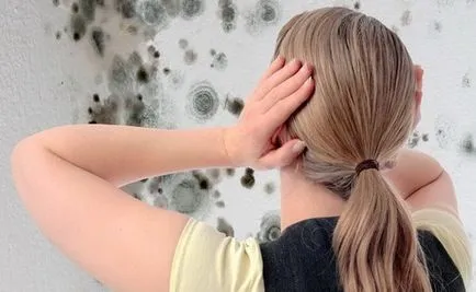 Abból, amit a páratartalom a lakásban
