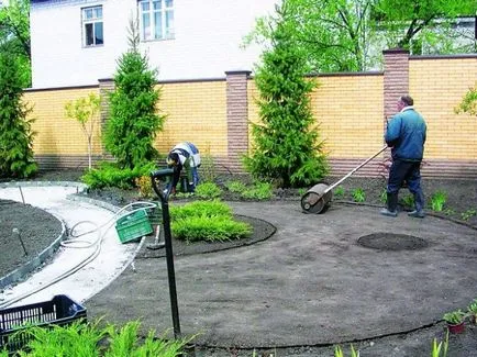 Hogyan kell vetni minden pázsitfű Hogyan kell vetni minden pázsitfű
