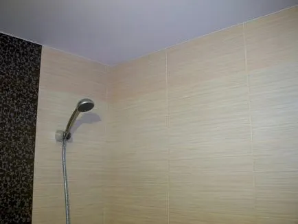 Hogyan mennyezet a fürdőszobában Hogyan mennyezet a fürdőszobában