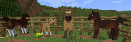 Hogyan készítsünk egy Minecraft egy ló, és hogyan kell megszelídíteni