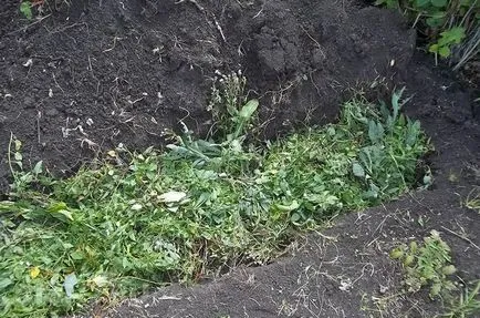 Hogyan készítsünk egy doboz komposzt