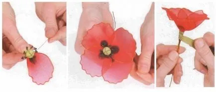 Mivel a kezüket, hogy a virágok ki nejlon (nylon harisnya) (nylon harisnya) Mivel a kezüket, hogy a virágok ki nejlon (nylon harisnyanadrág)