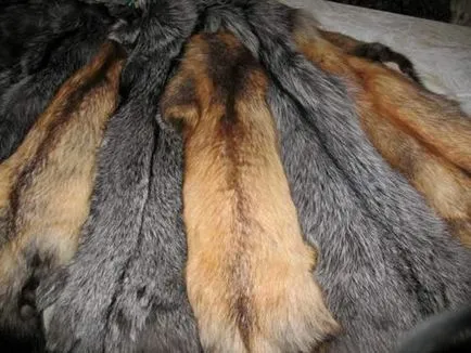 Hogyan kell varrni a bunda természetes szőrme minta, a mester osztály saját kezűleg