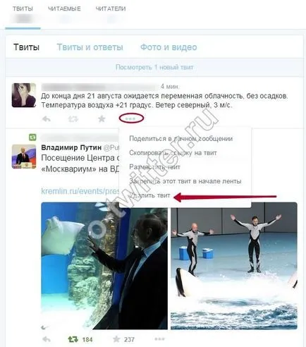 Hogyan lehet eltávolítani tweetjeit fiókjában Twitter (tweet) Hogyan lehet eltávolítani tweetjeit fiókjában Twitter