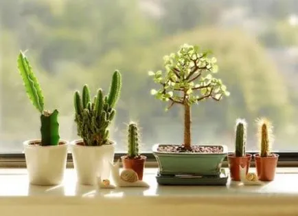 Hogyan lehet díszíteni az ablakot és a küszöb 55 legjobb ötletek (díszíteni) Hogyan lehet díszíteni az ablakot és a küszöb 55 legjobb ötletek