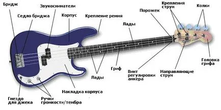Hogyan válasszuk ki a basszus (piros juharfa) Hogyan válasszuk ki a basszusgitár