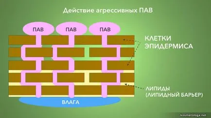 Hogyan válasszuk ki a jó umyvalku