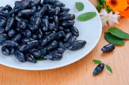 Hogyan növekszik a lonc