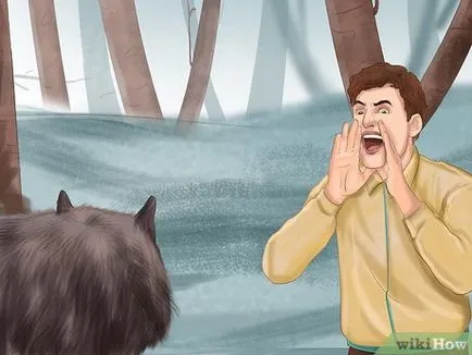 Wolf túlélni támadás (támadás) Hogyan lehet túlélni a támadást a farkas