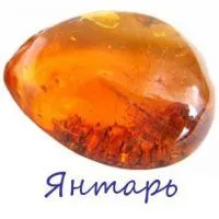 Amber stone és annak tulajdonságait (fotó) (faj) Amber stone és annak tulajdonságait (fotó)