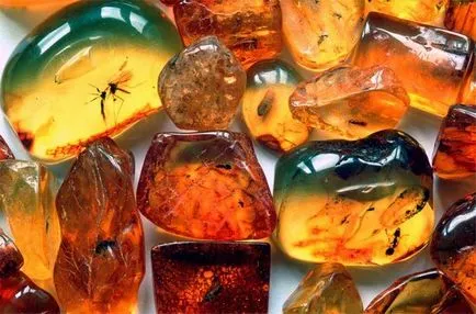 Amber stone tulajdonságait, fotók és érdekelt a csillagjegy (tulajdonságok) Amber stone tulajdonságait, fotók és érdekelt a csillagjegy