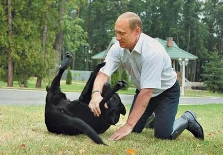 Mi a neve Putyin kutyája milyen fajta kutya Putyin