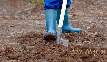 Mi az álom szárazföldi álom könyv - fekete laza föld az álmok ígéretek jólét