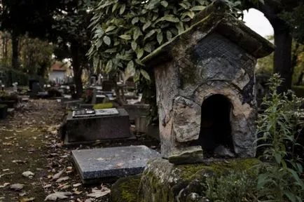 Temető kutyák Franciaországban