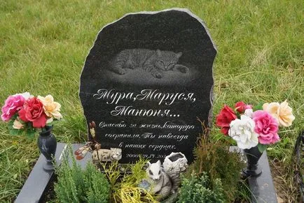 Pet temető Moszkva, a hivatalos kisállat temető fotó Khimki
