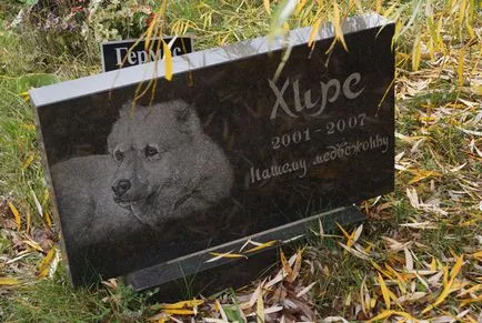 Pet temető Moszkva, a hivatalos kisállat temető fotó Khimki