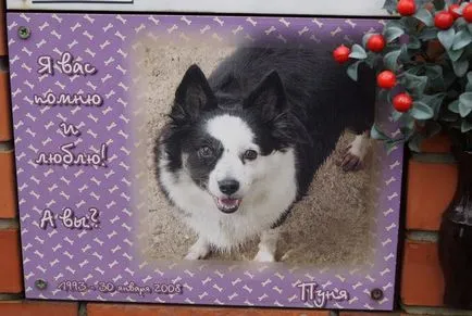 Pet temető Moszkva, a hivatalos kisállat temető fotó Khimki