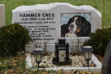 Pet temető Moszkva, a hivatalos kisállat temető fotó Khimki