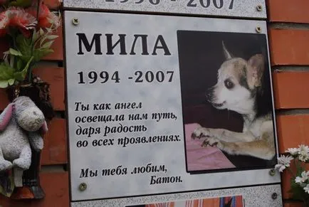 Pet temető Moszkva, a hivatalos kisállat temető fotó Khimki