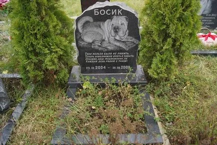 Pet temető Moszkva, a hivatalos kisállat temető fotó Khimki