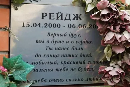 Pet temető Moszkva, a hivatalos kisállat temető fotó Khimki