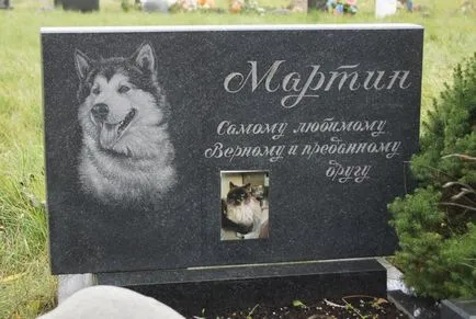 Pet temető Moszkva, a hivatalos kisállat temető fotó Khimki