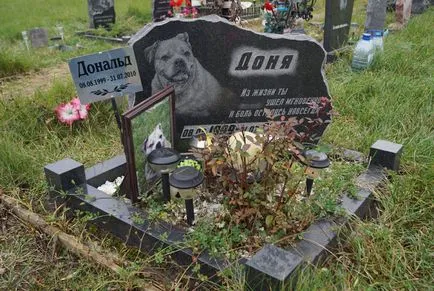 Pet temető Moszkva, a hivatalos kisállat temető fotó Khimki