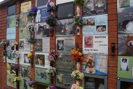 Pet temető Moszkva, a hivatalos kisállat temető fotó Khimki