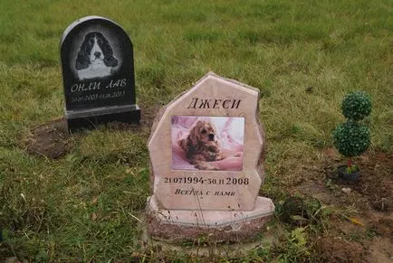 Pet temető Moszkva, a hivatalos kisállat temető fotó Khimki