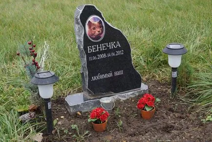 Pet temető Moszkva, a hivatalos kisállat temető fotó Khimki