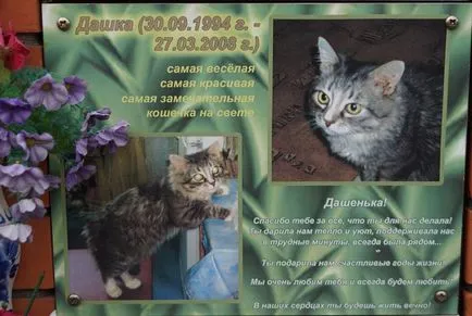 Pet temető Moszkva, a hivatalos kisállat temető fotó Khimki