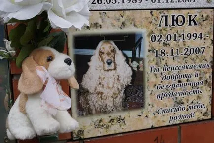 Pet temető Moszkva, a hivatalos kisállat temető fotó Khimki