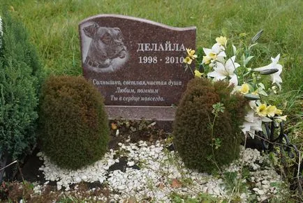 Pet temető Moszkva, a hivatalos kisállat temető fotó Khimki