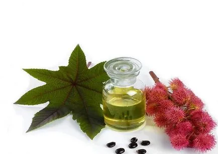 Ricinusolaj az arc, hogy hogyan kenet, vélemények c előtti és utáni képek, ellenjavallatok (ricinus) Ricinusolaj az arc, hogy hogyan kenet, vélemények c előtti és utáni képek, ellenjavallatok
