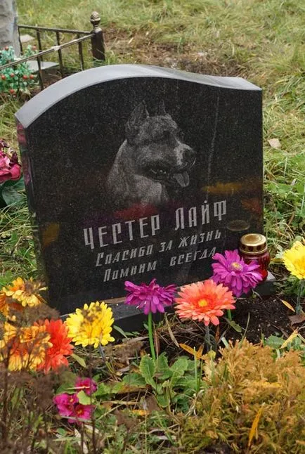 Pet temető Moszkva, a hivatalos kisállat temető fotó Khimki