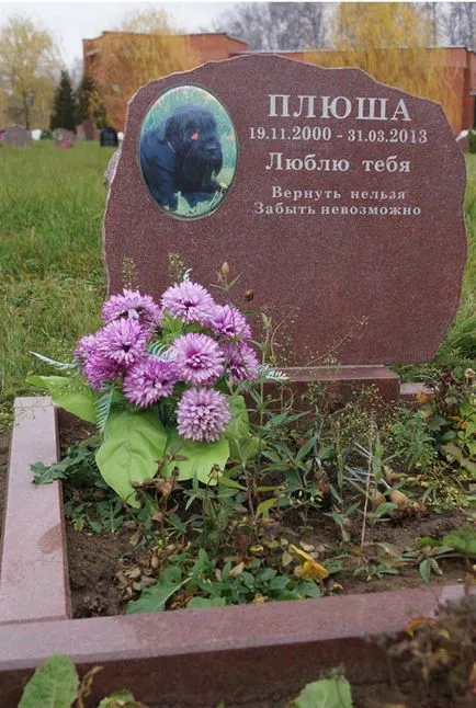 Pet temető Moszkva, a hivatalos kisállat temető fotó Khimki