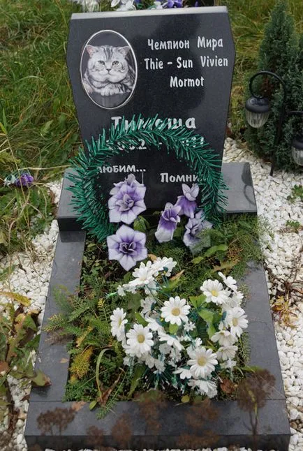 Pet temető Moszkva, a hivatalos kisállat temető fotó Khimki