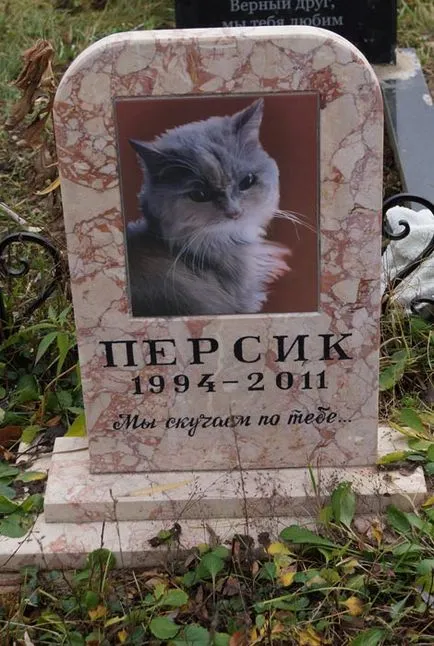 Pet temető Moszkva, a hivatalos kisállat temető fotó Khimki