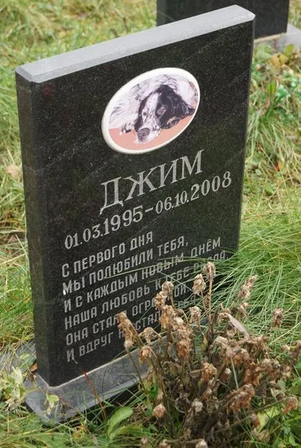 Pet temető Moszkva, a hivatalos kisállat temető fotó Khimki