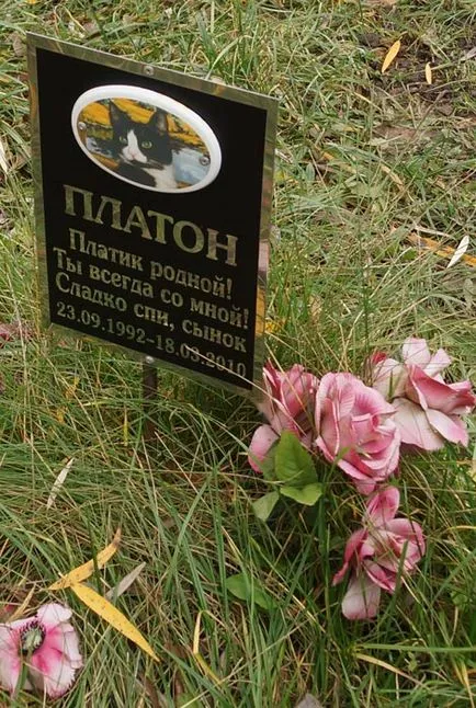 Pet temető Moszkva, a hivatalos kisállat temető fotó Khimki