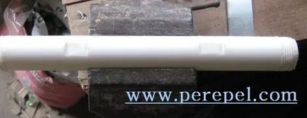 Madárketrecek kezével variant№1