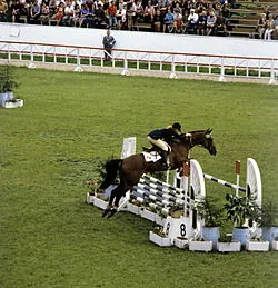 Jumping - ez