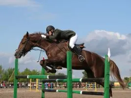 lovassport