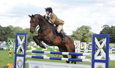 Jumping - egy tekintélyes és elegáns megjelenés a lovassport
