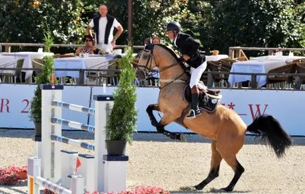 Jumping lovak története, nyilvántartások, és egyéb akadályok